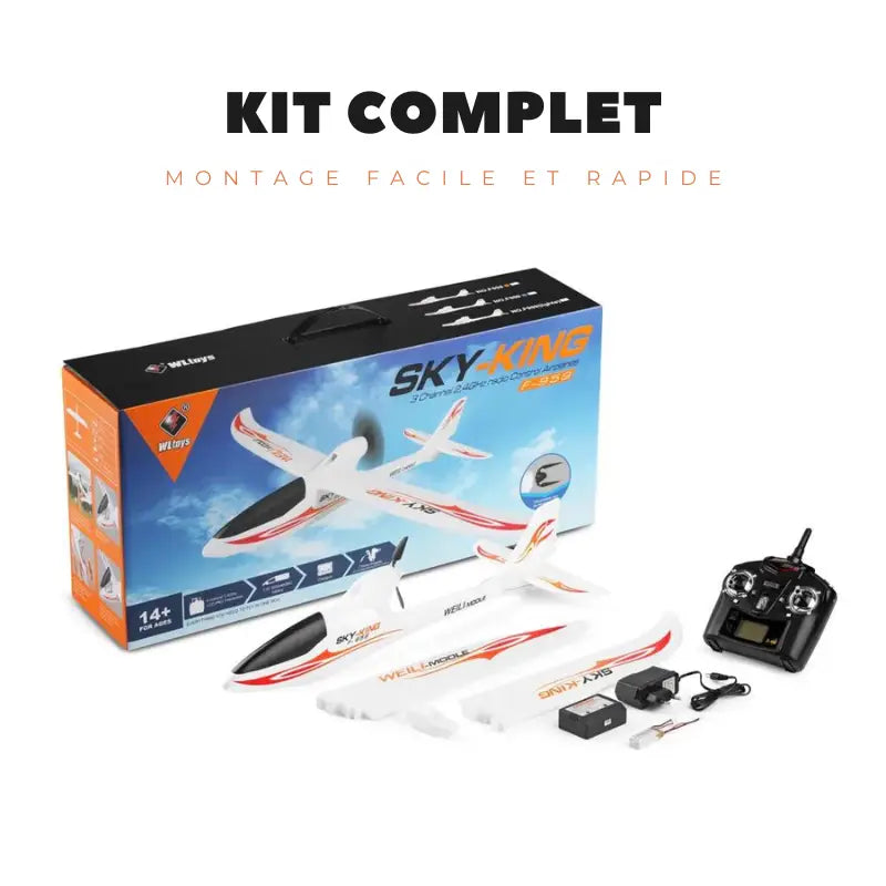 Avion Planeur avec Moteur