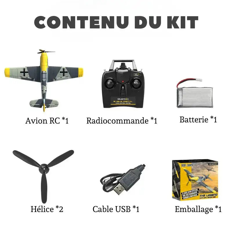 Avion Radiocommandé Voltige