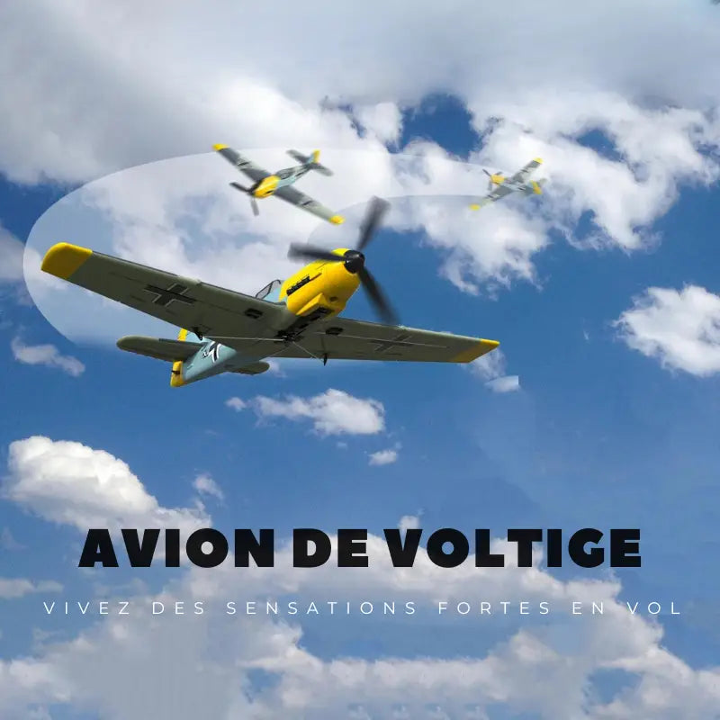 Avion RC Voltige