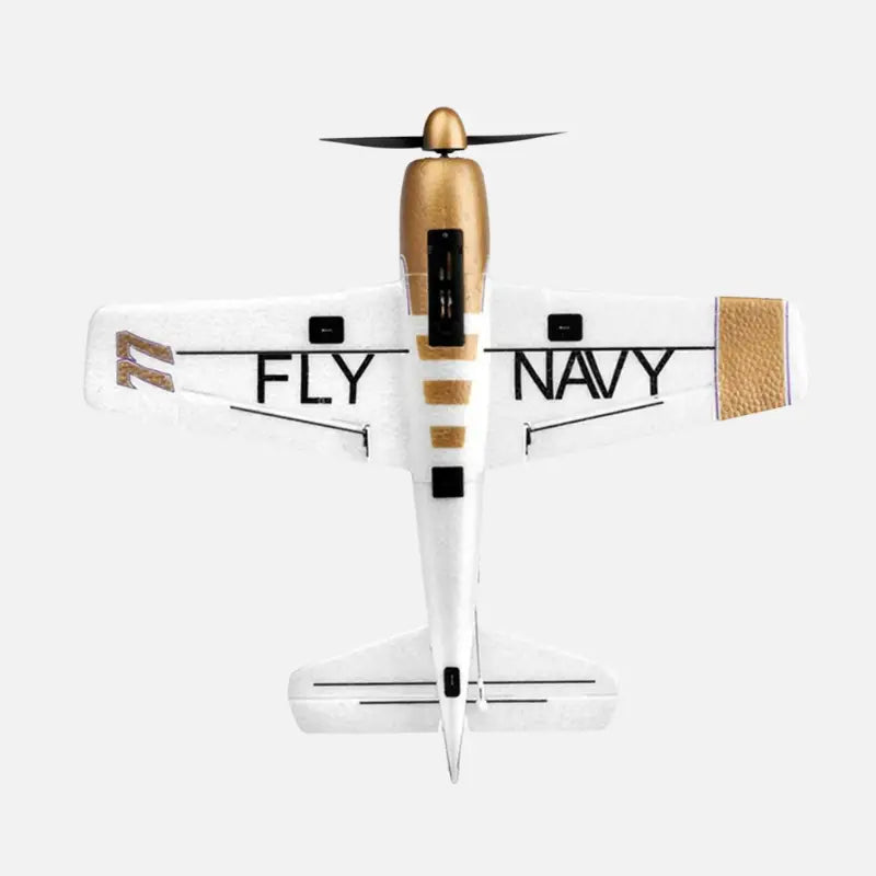 Avion téléguidé Électrique Complet