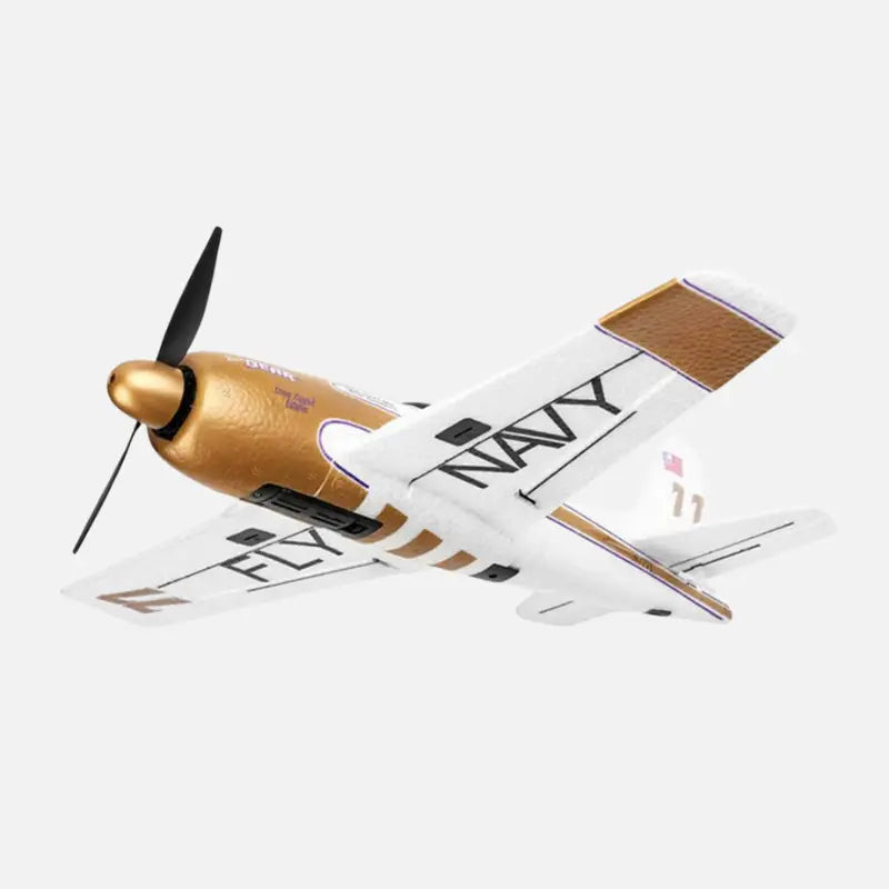 Avion télécommandé Électrique Complet