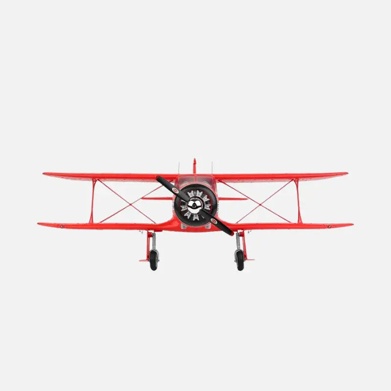 planeur avion voltige RC