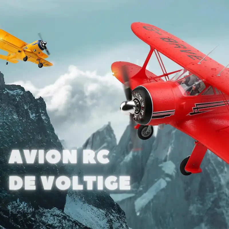 Avion Planeur voltige électrique