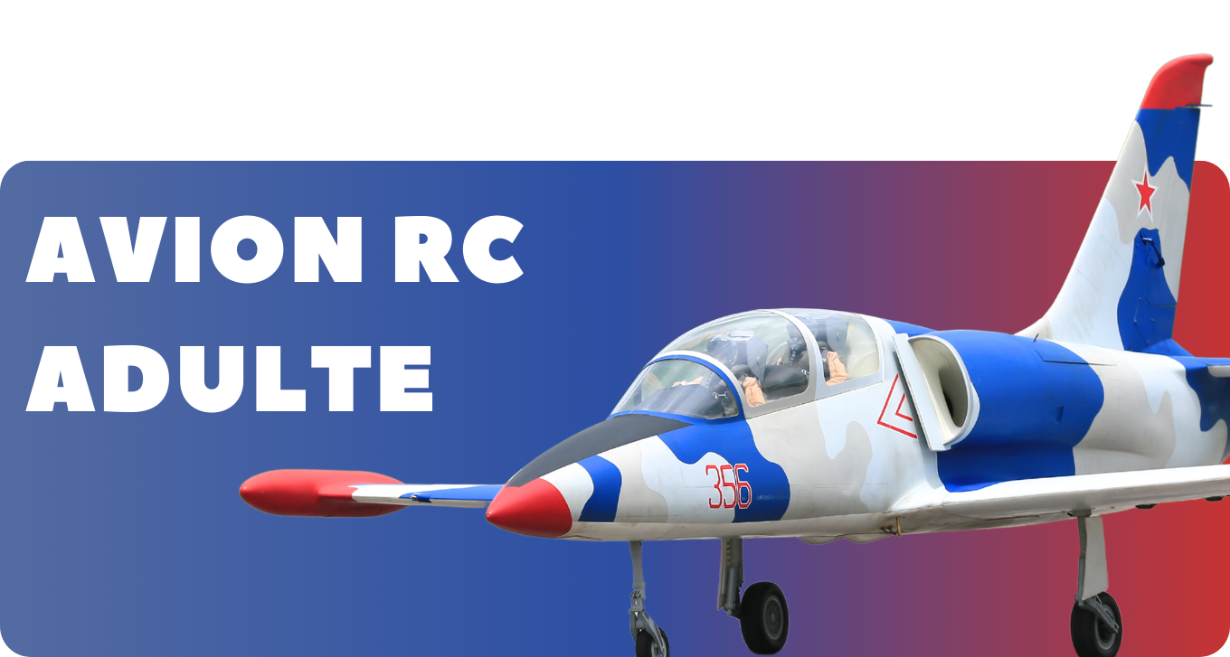 Avion Télécommandé Adulte