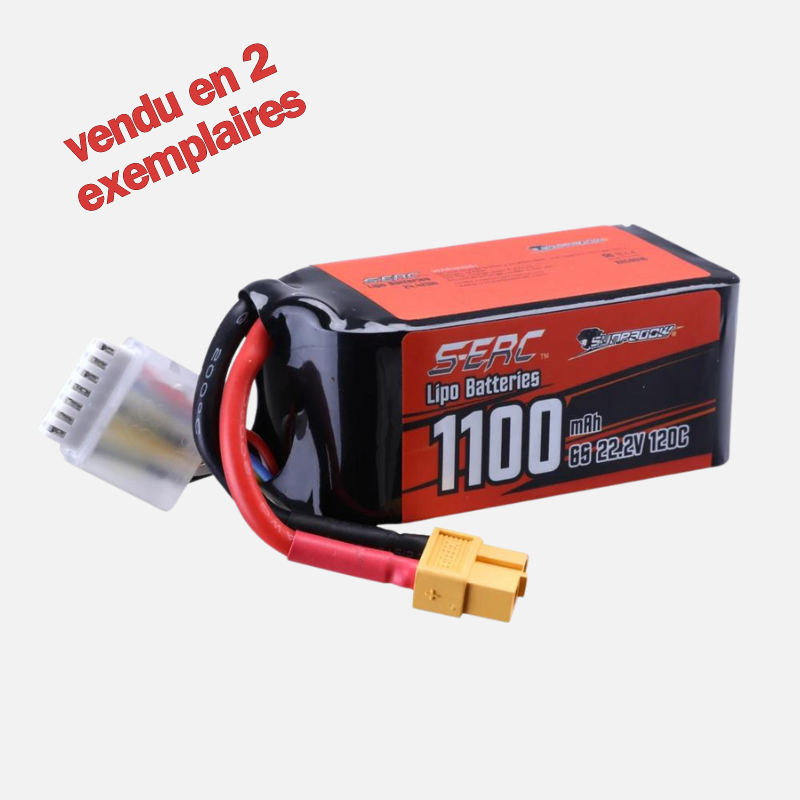 Batterie Lipo 6s