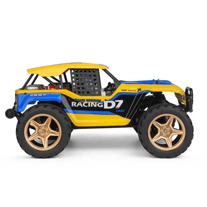 voiture rc rallye